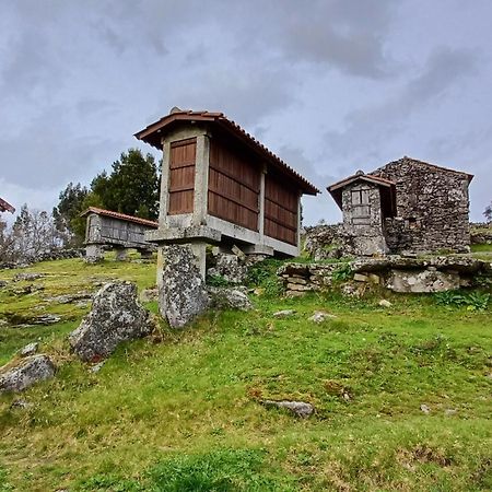 Casa Da Rosa Porreiras Villa Паредес де Коура Екстериор снимка