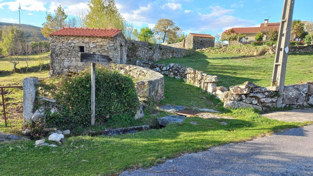 Casa Da Rosa Porreiras Villa Паредес де Коура Екстериор снимка